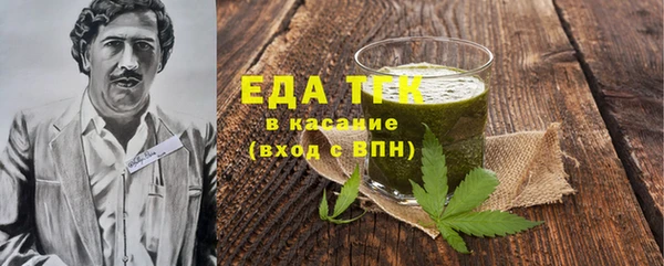 индика Протвино