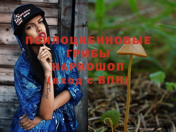 СК Михайлов