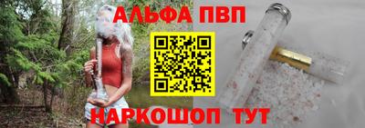 стафф Кингисепп