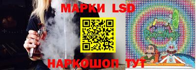 стафф Кингисепп