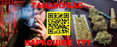 стафф Кингисепп