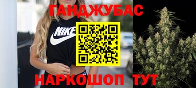 стафф Кингисепп