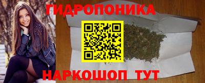 стафф Кингисепп