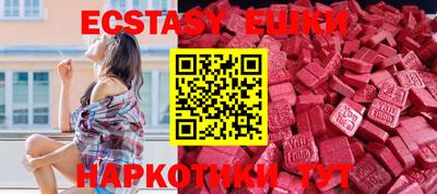стафф Кингисепп