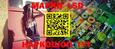 стафф Кингисепп