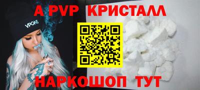 стафф Кингисепп