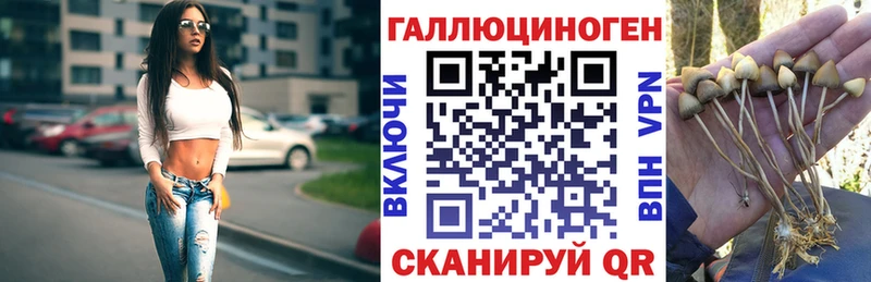 KRAKEN онион  Отрадный  сайты даркнета состав  наркотики  Псилоцибиновые грибы Cubensis 
