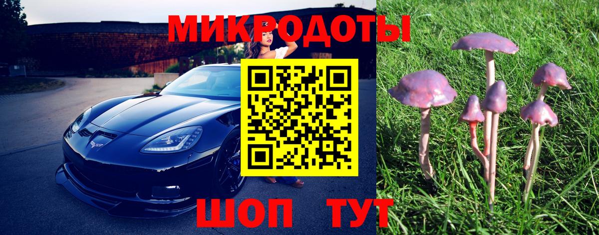 Галлюциногенные грибы прущие грибы  Вход с VPN  Отрадный 