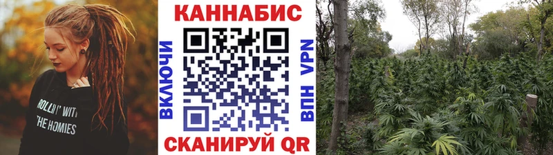 Бошки Шишки Amnesia Отрадный
